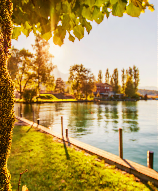 Region Thunersee im Herbsit