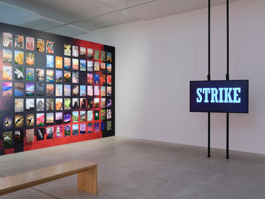 The Lure of the Image – Wie Bilder im Netz verlocken