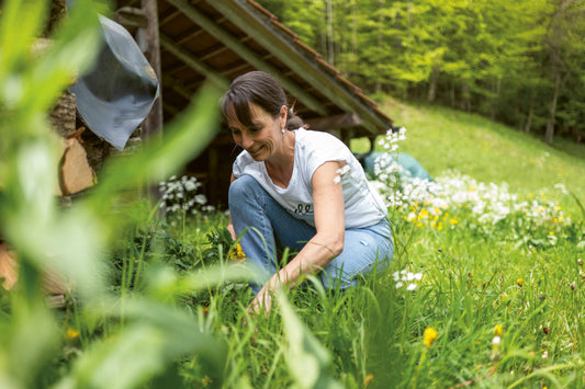 Wild, verwurzelt und wirksam geerntet