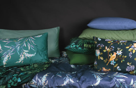 Hier beginnen Träume