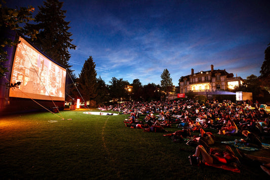 Sommerabend, Picknickdecke und Film ab