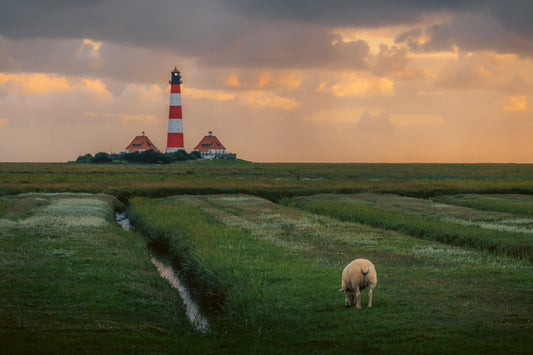 Wo der Wind die Gedanken sortiert: Die deutsche Nordsee zwischen Niedersachsen und Schleswig-Holstein