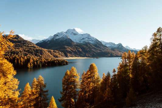 Vier Genusserlebnisse in der Schweiz